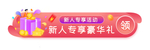 标题栏双11胶囊