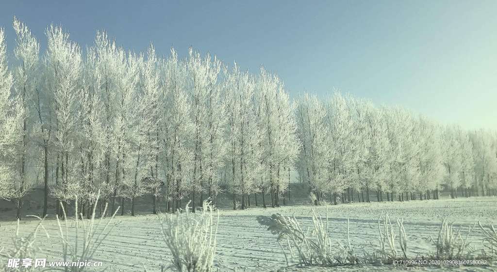 辽宁多地现罕见雾凇景观景色美爆