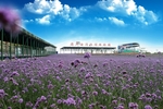 葫芦海湾休闲体验园