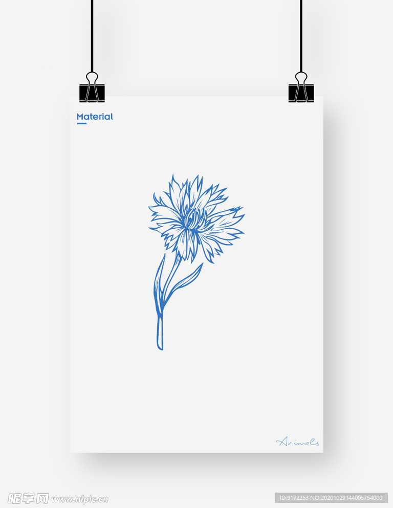 野菊花