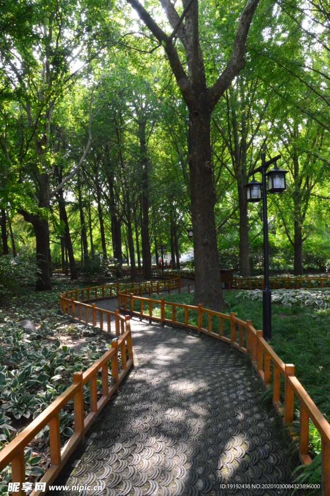 园林风景