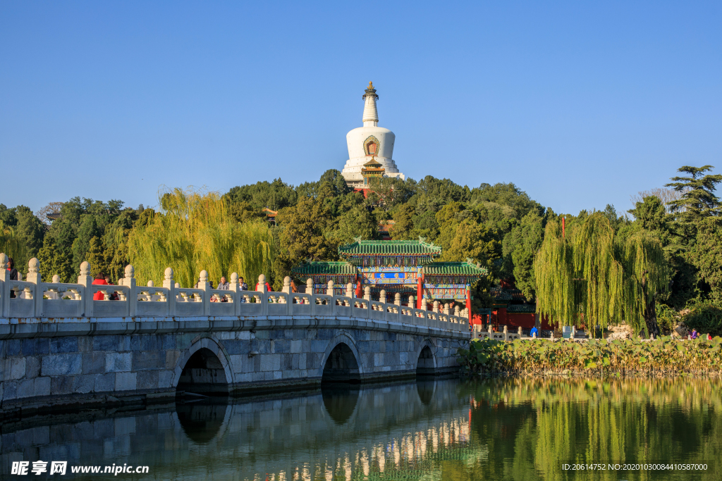 美丽的公园美景