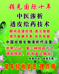绿色海报