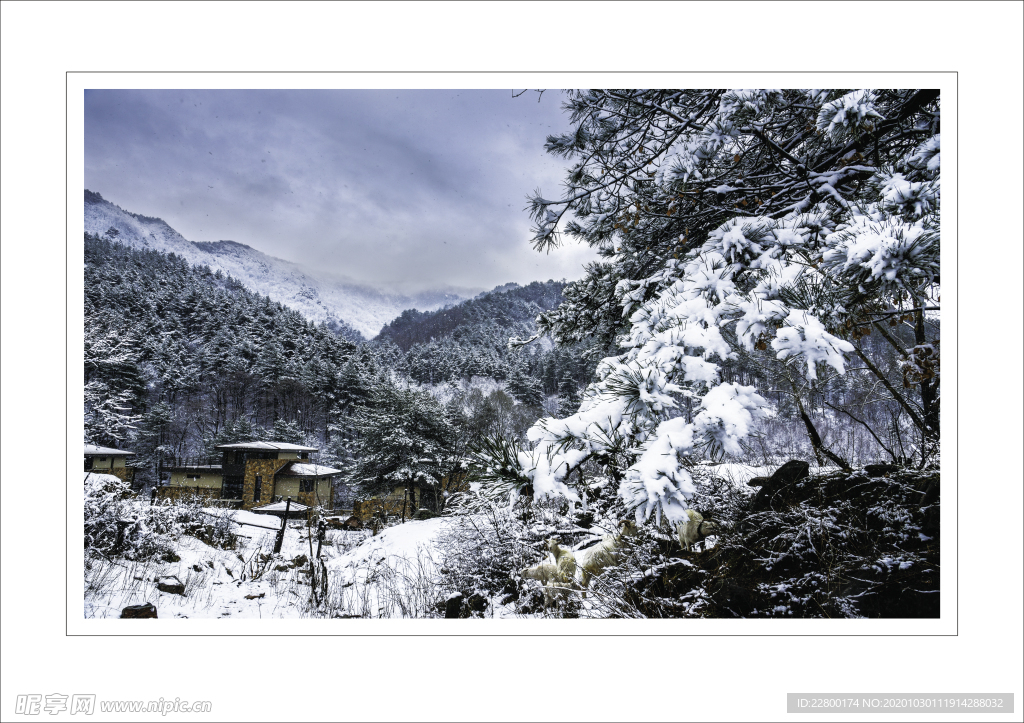 雪地风景画