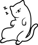 猫