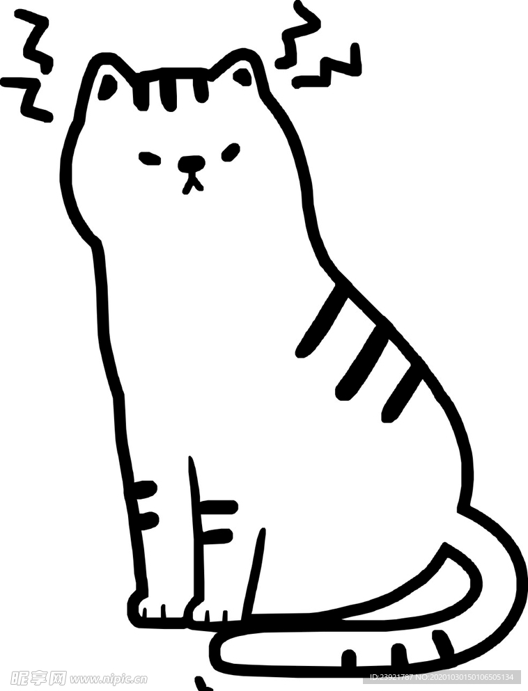 猫