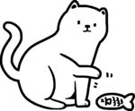 猫