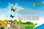 企业管理 蝴蝶效应