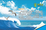 企业管理 海潮效应