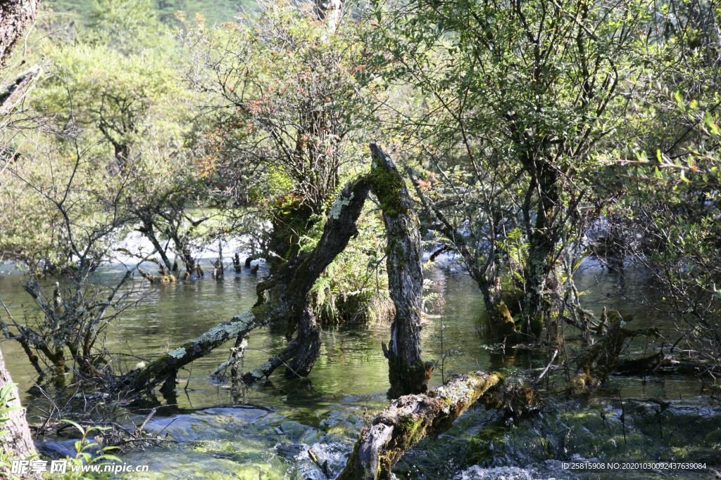 九寨沟风景