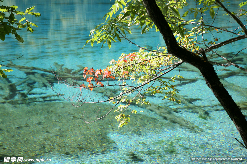 九寨沟风景