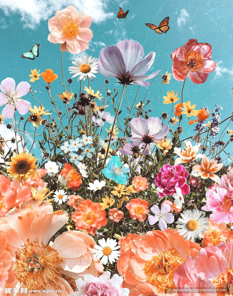 手绘花  大牌  数码印花