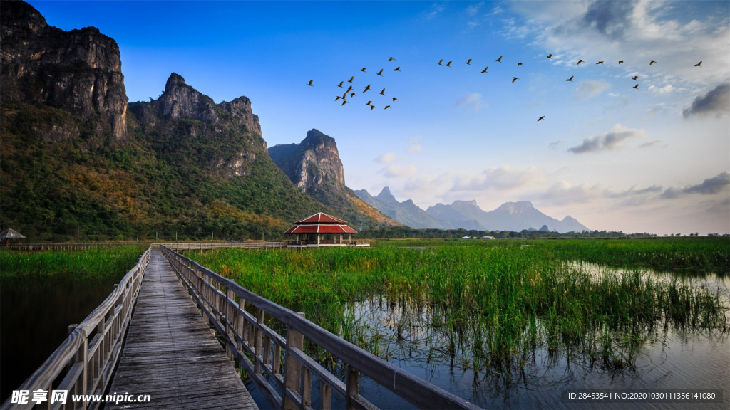 风景