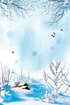 雪房子