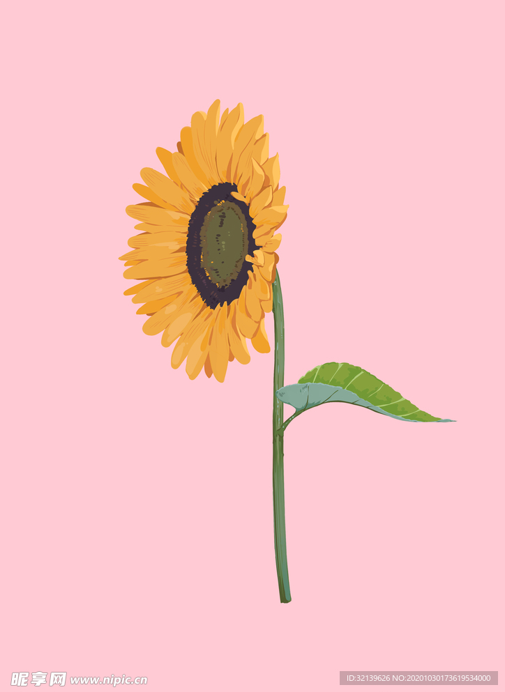 向日葵