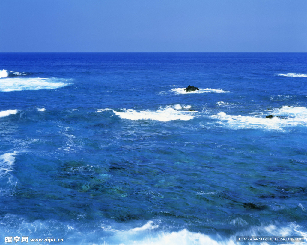 海洋