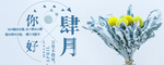 手机壁纸