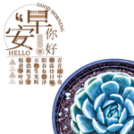 手机壁纸