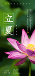 手机壁纸