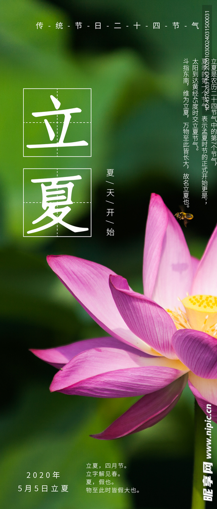 手机壁纸