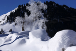 大雪无垠 伊犁风光 白色的冬天