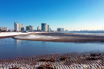 雪后的城市