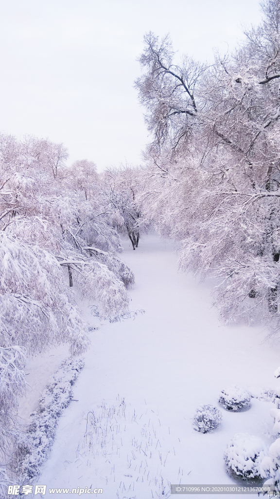 大雪无垠白色的冬天