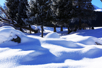 大雪无垠 伊犁风光 白色的冬天