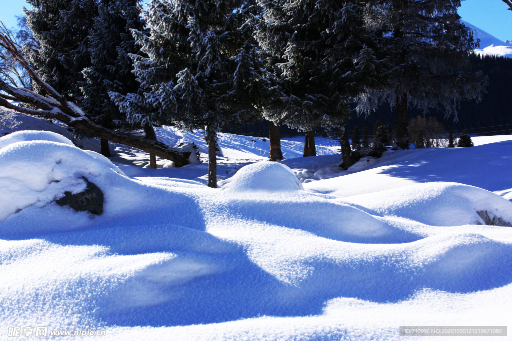 大雪无垠 伊犁风光 白色的冬天