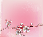 一枝桃花