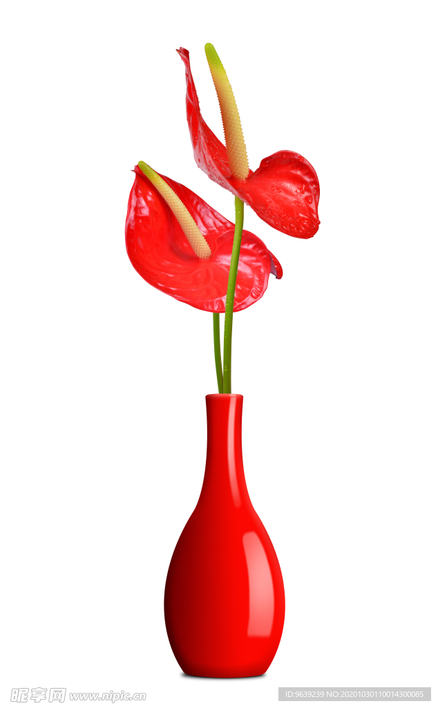 红掌花瓶