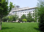 学校绿荫