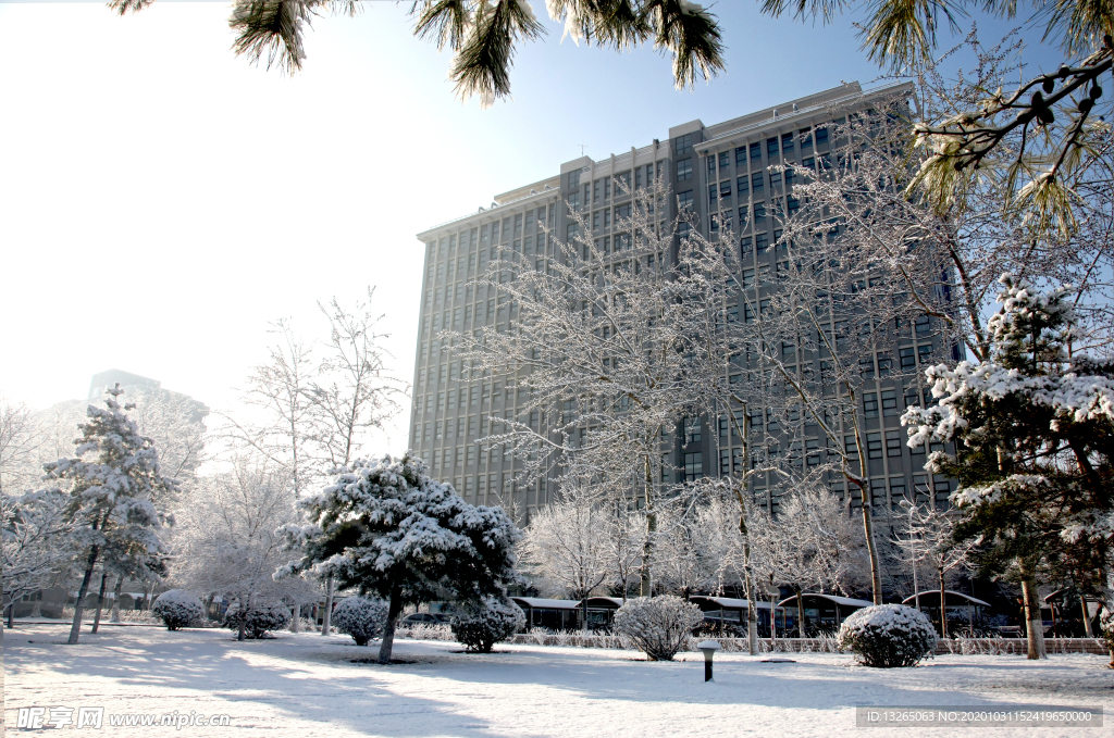 校园雪景