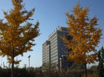 北方工业大学