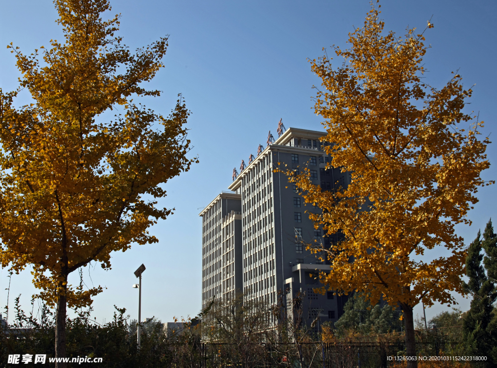 北方工业大学