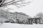 雪景
