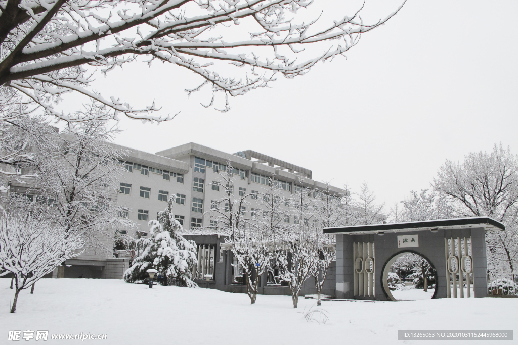 雪景