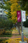 北方工业大学