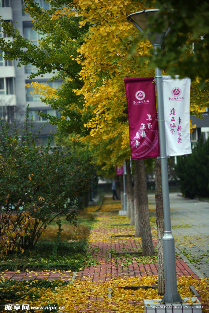 北方工业大学