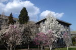 学校景观