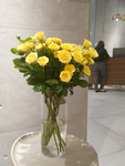 月季花