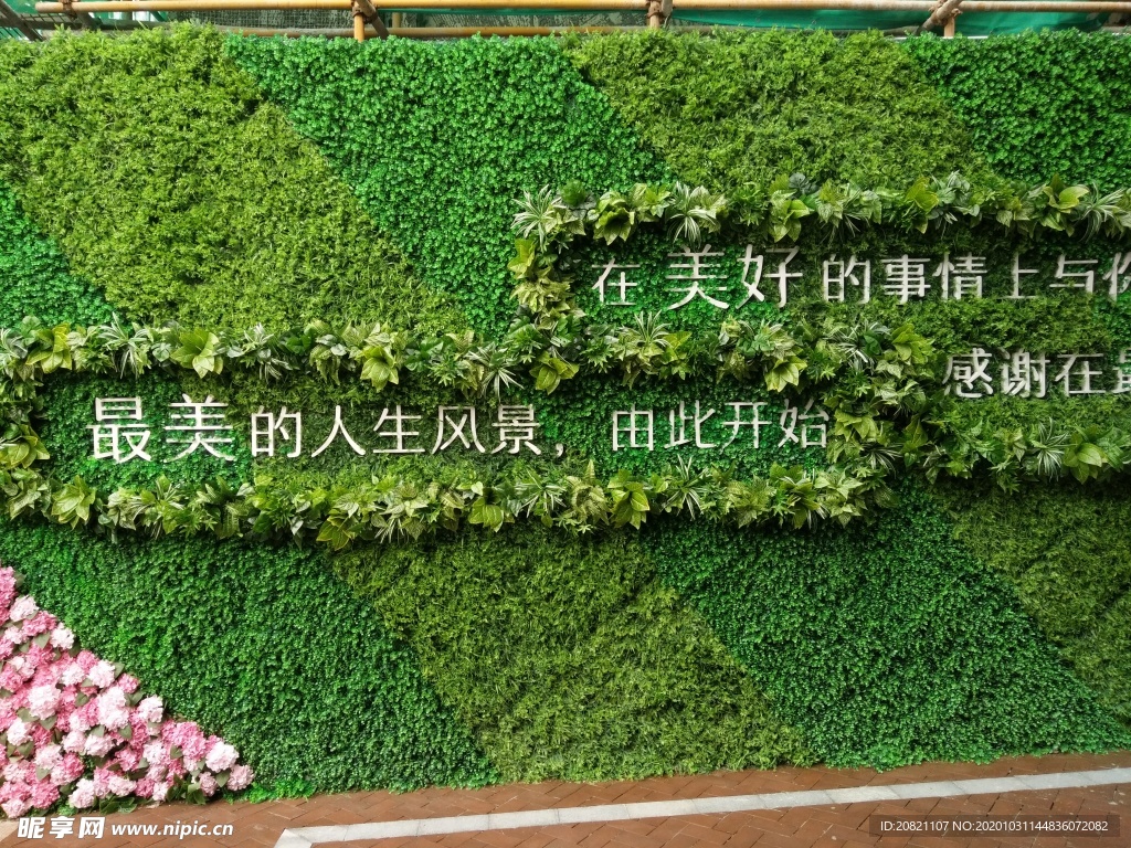 花卉