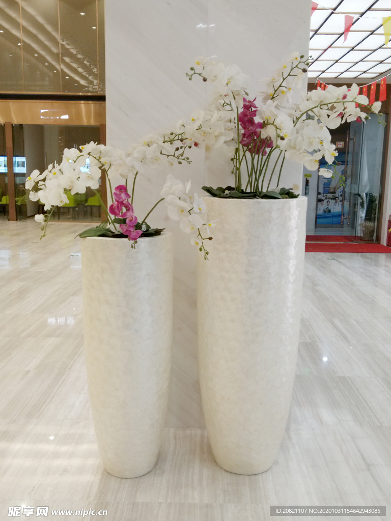 花卉