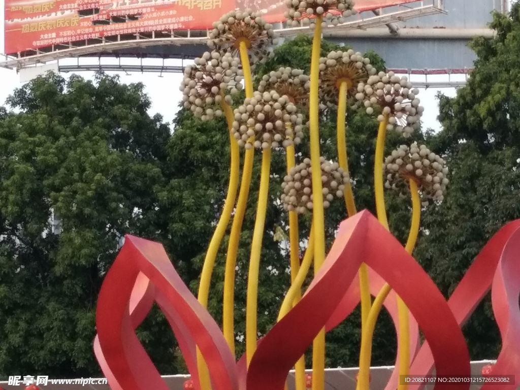 花卉