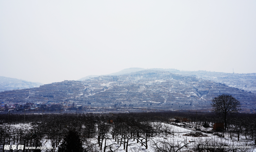 美丽雪景
