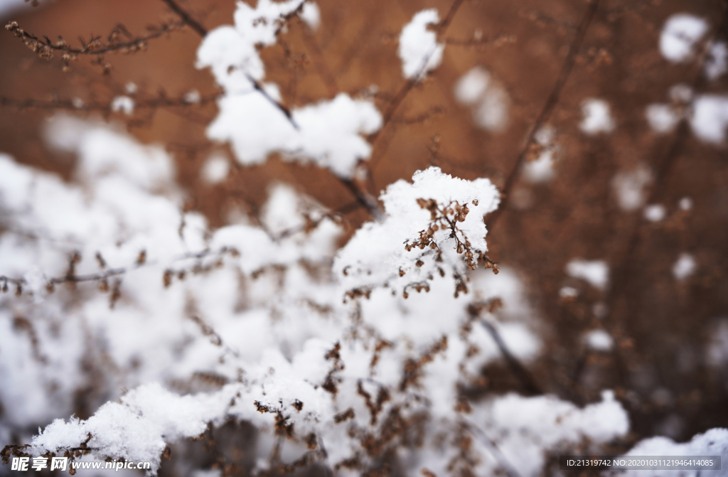 雪景