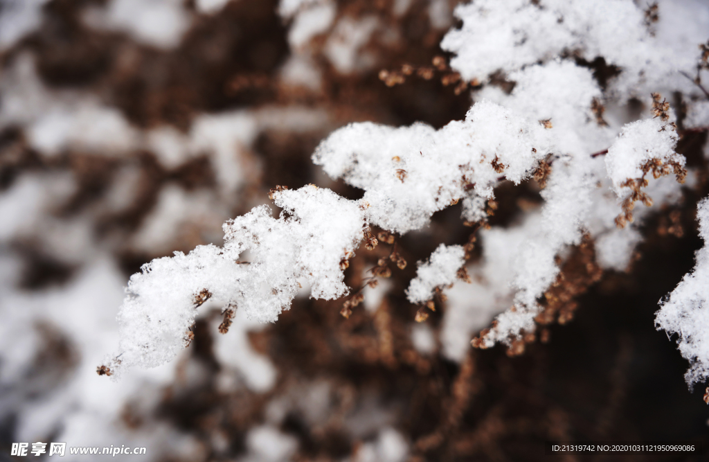 雪景