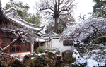 雪景