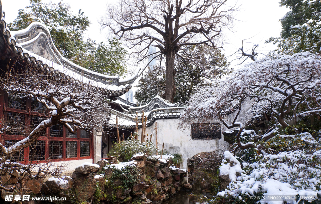雪景