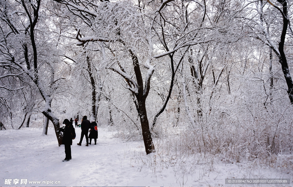 森林雪景